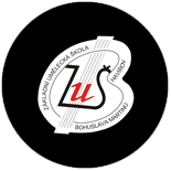 ZUŠ Bohuslava Martinů, Havířov